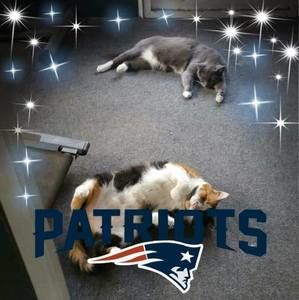 Meet your Posher, Lori